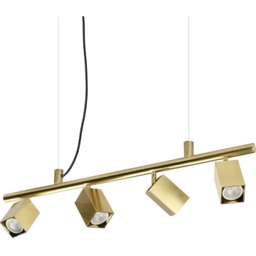 Ideal Lux - LED liustra ant laido DYNAMITE 4xGU10/7W/230V CRI 90 žalvario spalva
