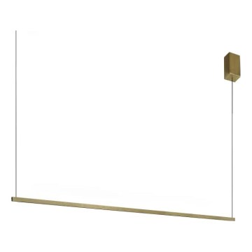 Ideal Lux - LED liustra ant laido ESSENCE LED/19W/230V 3000K CRI 90, žalvaris