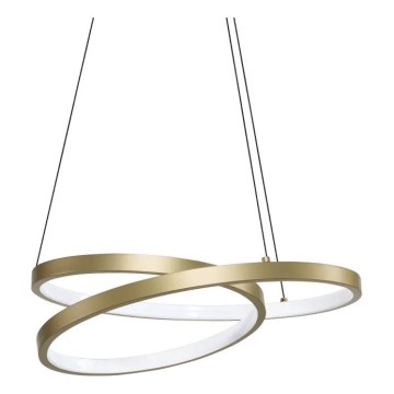 Ideal Lux - LED liustra ant laido OZ LED/38W/230V skersm. 40 cm CRI 90 auksinė