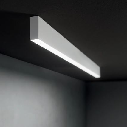 Ideal Lux - LED liustra ant laido STEEL LED/29W/230V 3000K CRI 90 120 cm balta