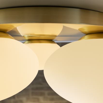 Ideal Lux - LED lubinis šviestuvas NINFEA 3xGX53/9W/230V auksas