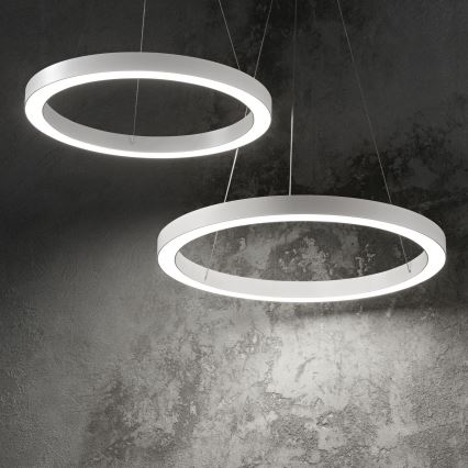 Ideal Lux - LED Pakabinamas sietynas ORACLE LED/35W/230V 3000K diametras 70 cm CRI 90 balta