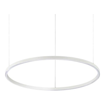 Ideal Lux - LED Pakabinamas sietynas ORACLE SLIM LED/37W/230V 2700K diametras 70,5 cm balta