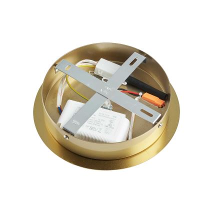 Ideal Lux - LED sietynas EQUINOXE 12xG4/2W/230V diametras 124 cm žalvaris/permatoma