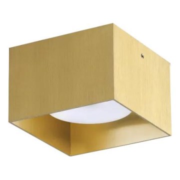 Ideal Lux - LED taškinis šviestuvas SPIKE 1xGX53/9W/230V 10x10 cm aukso spalvos