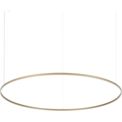 Ideal Lux - LED liustra ant troselio ORACLE SLIM LED/81W/230V 3000K CRI 90 skersmuo 150 cm auksinė