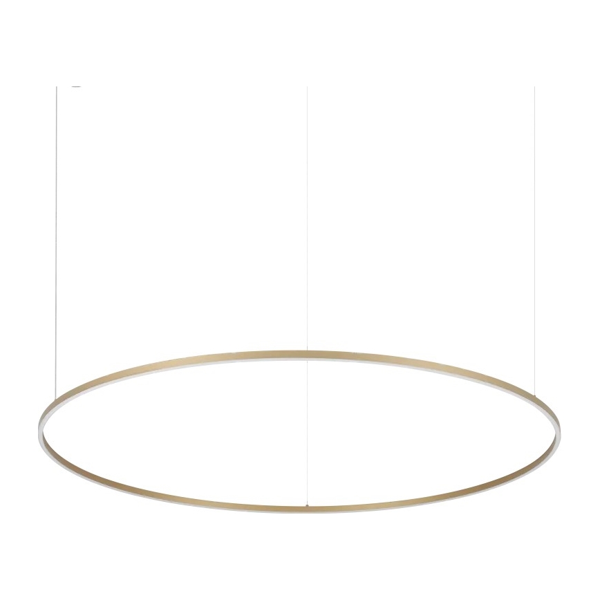 Ideal Lux - LED liustra ant troselio ORACLE SLIM LED/81W/230V 3000K CRI 90 skersmuo 150 cm auksinė