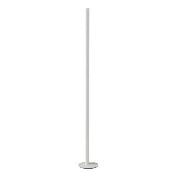 Ideal Lux - reguliuojamo ryškumo grindinis LED šviestuvas DORICA LED/50W/230V CRI 90 baltas