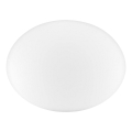 Ideal Lux - Universalus atsarginis NINFEA abajūras, skersmuo 25 cm, baltas