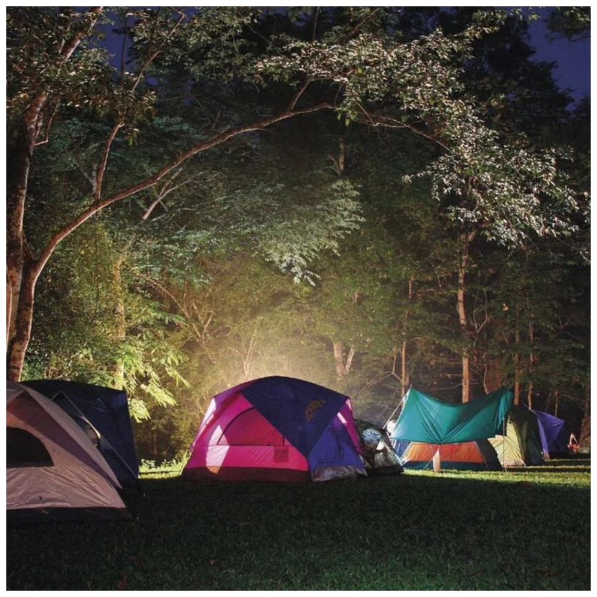 Įkraunamas LED žibintuvėlis LED/3,7V 4000 mAh
