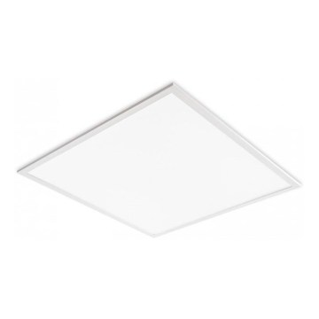 Įleidžiamas LED šviestuvas DAVRO LED/40W/230V 4000K 62x62 cm baltas