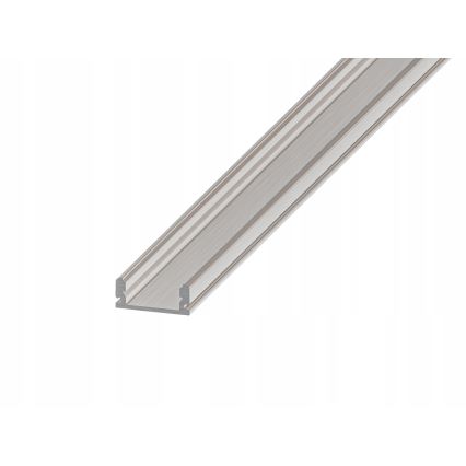 Įleidžiamas profilis LED juostoms, 1 m, sidabrinis/baltas