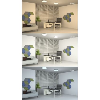 LED Reguliuojamas lubų šviestuvas LED/42W/230V 40 cm + nuotolinis valdymas