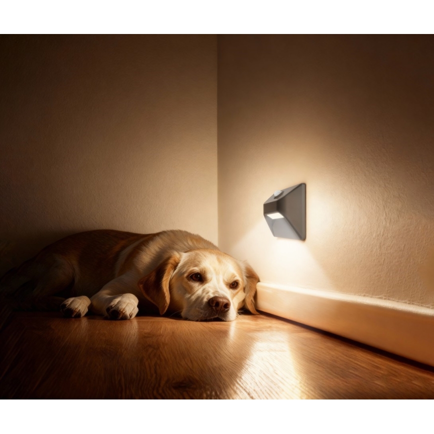 Immax 08309L - LED įkraunamas laiptų šviestuvas su judesio ir sutemų jutikliu STEP LIGHT LED/0,3W/3,7V 2200 mAh IP53 pilka
