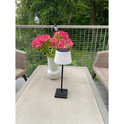LED Pritemdomas lauko saulės lempa su jutikliu LED/4W/5V IP44