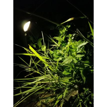 LED šviestuvas, įkraunamas saulės energija su jutikliu LED/1W/3,7V 6000K IP65