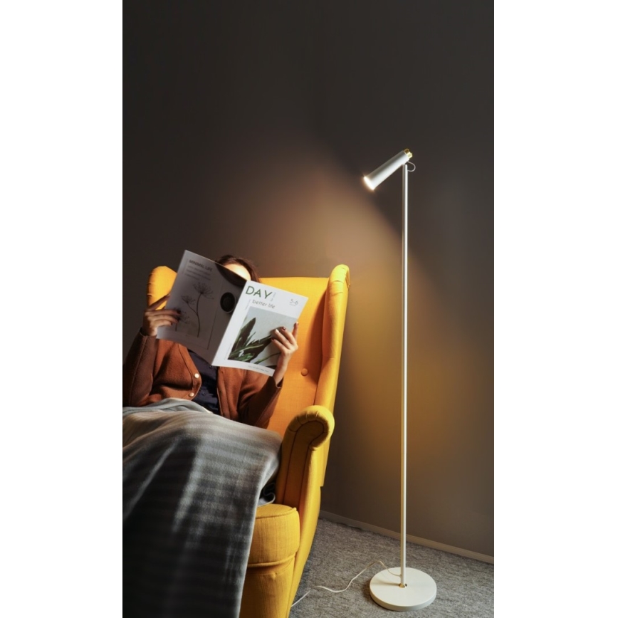 LED pritemdomas toršeras TIT LED/6W/230V balta