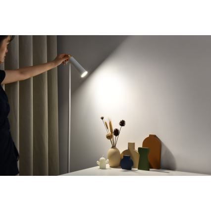LED pritemdomas toršeras TIT LED/6W/230V balta