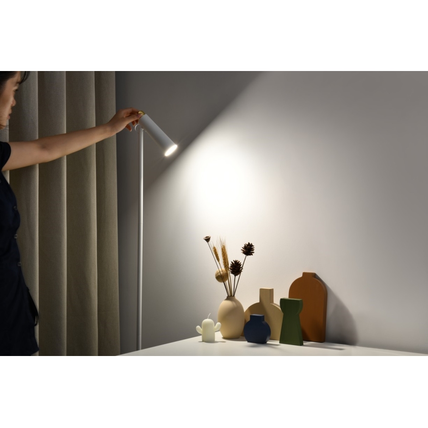 LED pritemdomas toršeras TIT LED/6W/230V balta