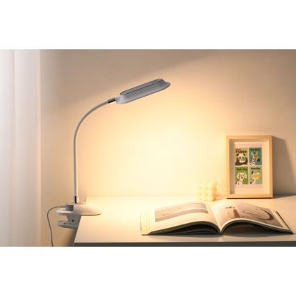 LED+CCT Dimeriuojama stalo lempa su spaustuku CLIP LED/7,5W/230V 3000/4200/5000K balta