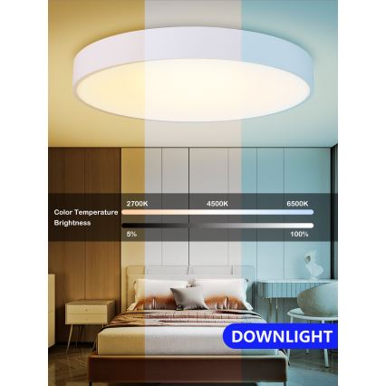 Immax NEO 07028L – LED Reguliuojamas lubų šviestuvas RONDATE LED/65W/230V + VP Tuya