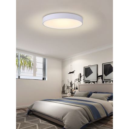Immax NEO 07028L - LED reguliuojamas lubų šviestuvas RONDATE LED/65W/230V Tuya + nuotolinio valdymo pultas