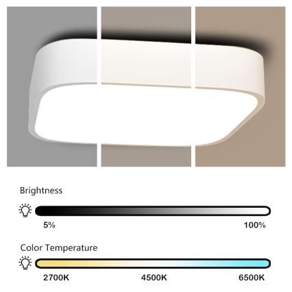 Immax NEO 07040L - LED Reguliuojamas lubų šviestuvas RECUADRO LED/56W/230V + VP Tuya