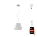Immax NEO 07053L - LED RGBW reguliuojamas šviestuvas ant laido CONO 1xE27/8,5W/230V 32 cm Tuya + nuotolinis valdymas