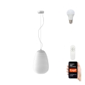 Immax NEO 07066L - LED RGBW reguliuojamas šviestuvas COCONO 1xE27/8,5W/100-240V 24 cm Tuya + nuotolinis valdymas