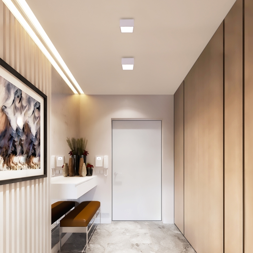 Immax NEO 07072L-15 - LED pritemdomas švisetuvas CANTO LED / 12W / 230V baltas Tuya