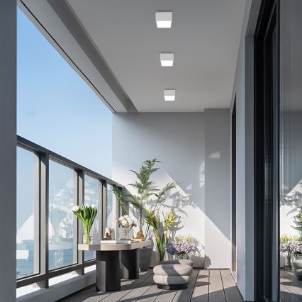 Immax NEO 07072L-15 - LED pritemdomas švisetuvas CANTO LED / 12W / 230V baltas Tuya