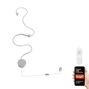 Immax NEO 07081L - LED reguliuojamas sieninis šviestuvas CARAVANA LED/35W/230V Tuya