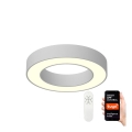 Immax NEO 07095L - LED reguliuojamas lubų šviestuvas PASTEL LED/52W/230V 60 cm Tuya + nuotolinis valdymas
