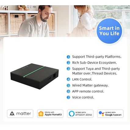 Immax NEO 07117-5 - Išmanusis MATTER tiltas Zigbee 3.0 230V Wi-Fi