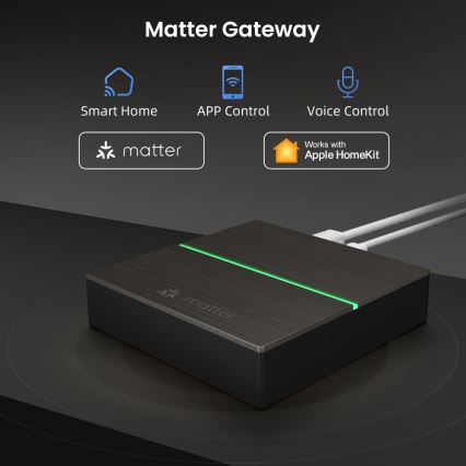 Immax NEO 07117-5 - Išmanusis MATTER tiltas Zigbee 3.0 230V Wi-Fi