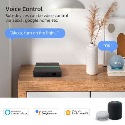 Immax NEO 07117-5 - Išmanusis MATTER tiltas Zigbee 3.0 230V Wi-Fi