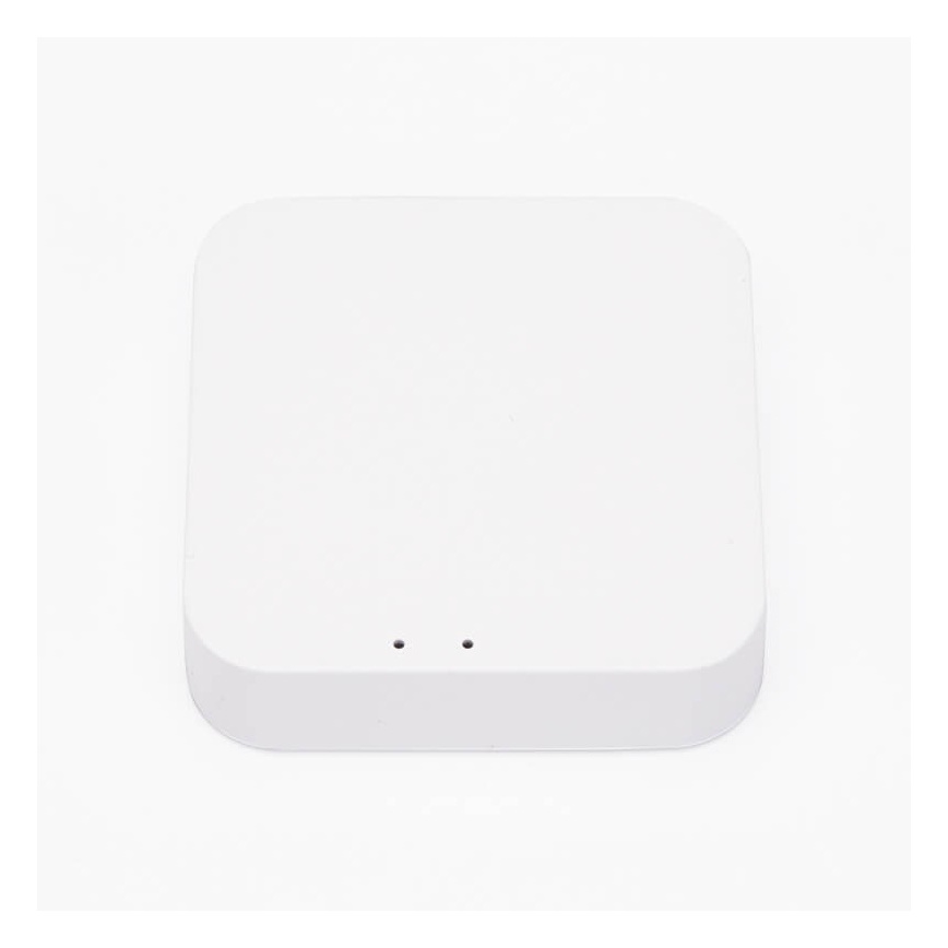 Immax NEO 07117L – JUNGTUVAS PRO Smart Zigbee 3.0