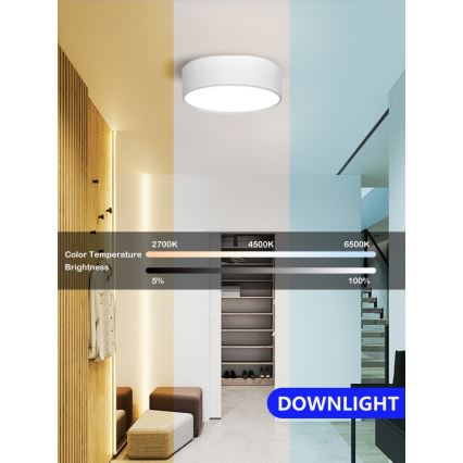 Immax NEO 07204L - LED Pritemdomas lubinis šviestuvas RONDATE LED/18W/230V 3000-6000K balta Tuya + nuotolinio valdymo pultas