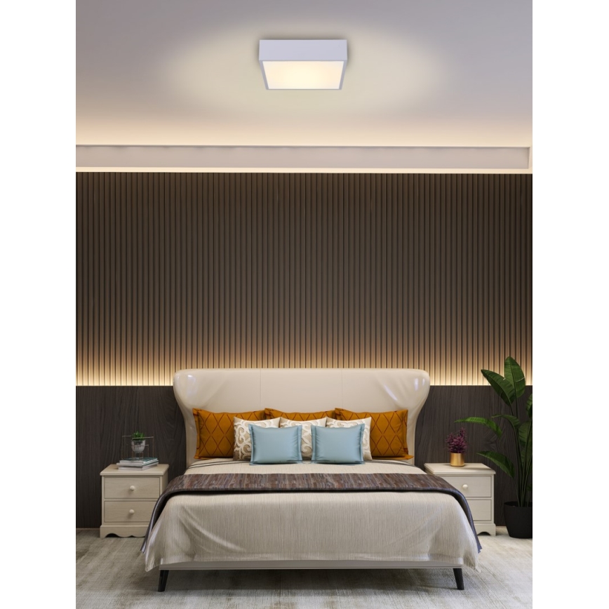 Immax NEO 07238L - LED Pritemdomas lubinis šviestuvas CANTO LED/22W/230V balta Tuya + nuotolinio valdymo pultas