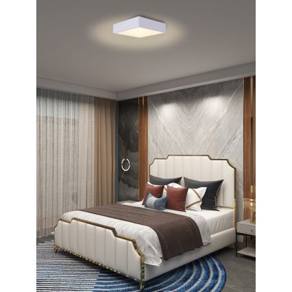 Immax NEO 07238L - LED Pritemdomas lubinis šviestuvas CANTO LED/22W/230V balta Tuya + nuotolinio valdymo pultas