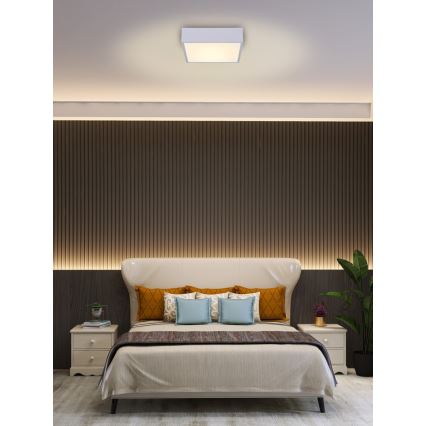Immax NEO 07238L - LED reguliuojamas lubų šviestuvas CANTO LED/22W/230V baltas Tuya + nuotolinio valdymo pultas