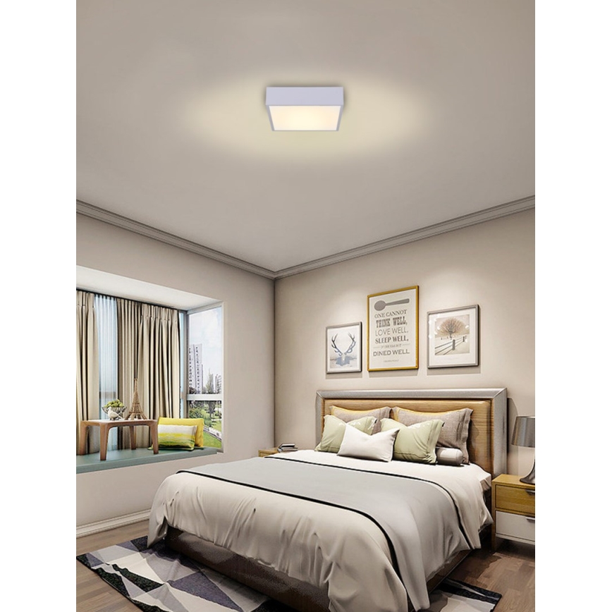 Immax NEO 07238L - LED reguliuojamas lubų šviestuvas CANTO LED/22W/230V baltas Tuya + nuotolinio valdymo pultas