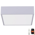 Immax NEO 07238L - LED reguliuojamas lubų šviestuvas CANTO LED/22W/230V baltas Tuya + nuotolinio valdymo pultas