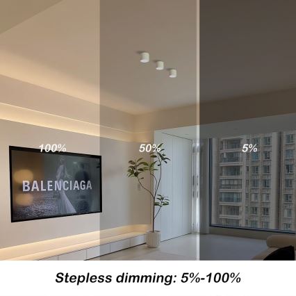Immax NEO 07241L - dimeriuojamas LED lubinis šviestuvas RONDATE LED/18W/230V 11,5cm Wi-Fi Tuya