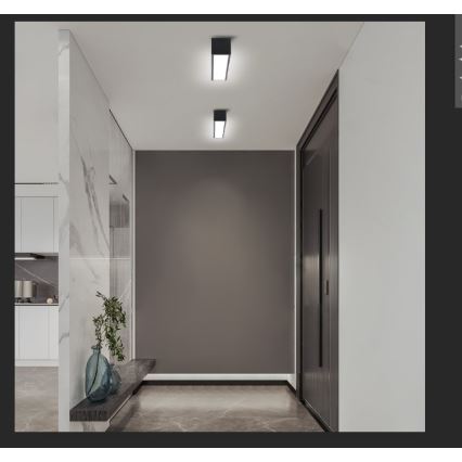 Immax NEO 07254L - LED Pritemdomas lubinis šviestuvas NEO LITE LUNGO LED/20W/230V 3000-6000K Wi-Fi Tuya juoda + nuotolinio valdymo pultas