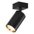 Immax NEO 07260W - LED RGB+CCT Pritemdomi akcentiniai šviestuvai NEO LITE PUNTO 1xGU10/6W/230V Wi-Fi Tuya