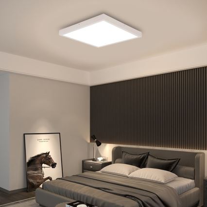 Immax NEO 07277L - LED pritemdomas lubinis vonios šviestuvas NEO LITE FRAME LED/50W/230V IP44 Wi-Fi Tuya +remote kontrolė balta