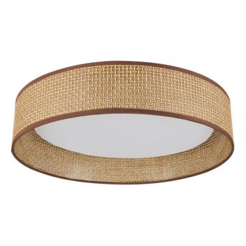 Immax NEO 07288L - LED+CCT Dimeriuojamas lubų šviestuvas LONA LED/36W/230V 3000-6000K Wi-Fi Tuya Ø 45,5 cm + su nuotoliniu pultu