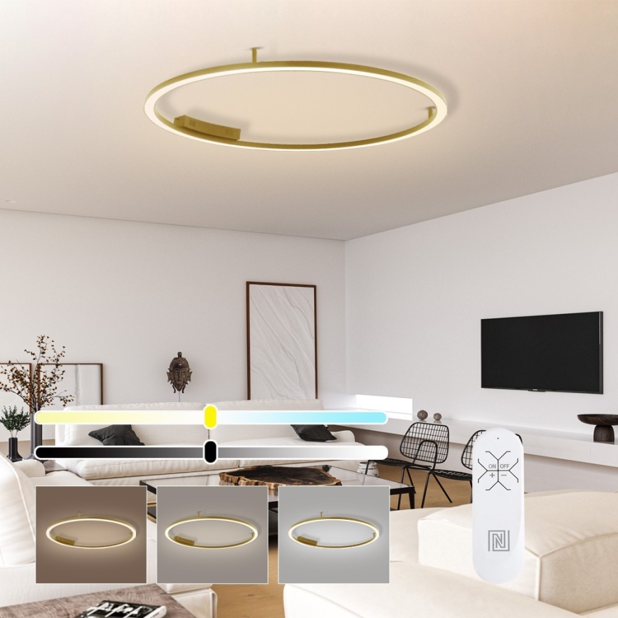 Immax NEO 07290-120G - LED+CCT Dimeriuojamas lubinis šviestuvas FINO LED/55W/230V 2700-6500K Tuya Ø 120 cm su nuotolinio valdymo pultu