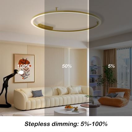 Immax NEO 07290-120G - LED+CCT Dimeriuojamas lubinis šviestuvas FINO LED/55W/230V 2700-6500K Tuya Ø 120 cm su nuotolinio valdymo pultu